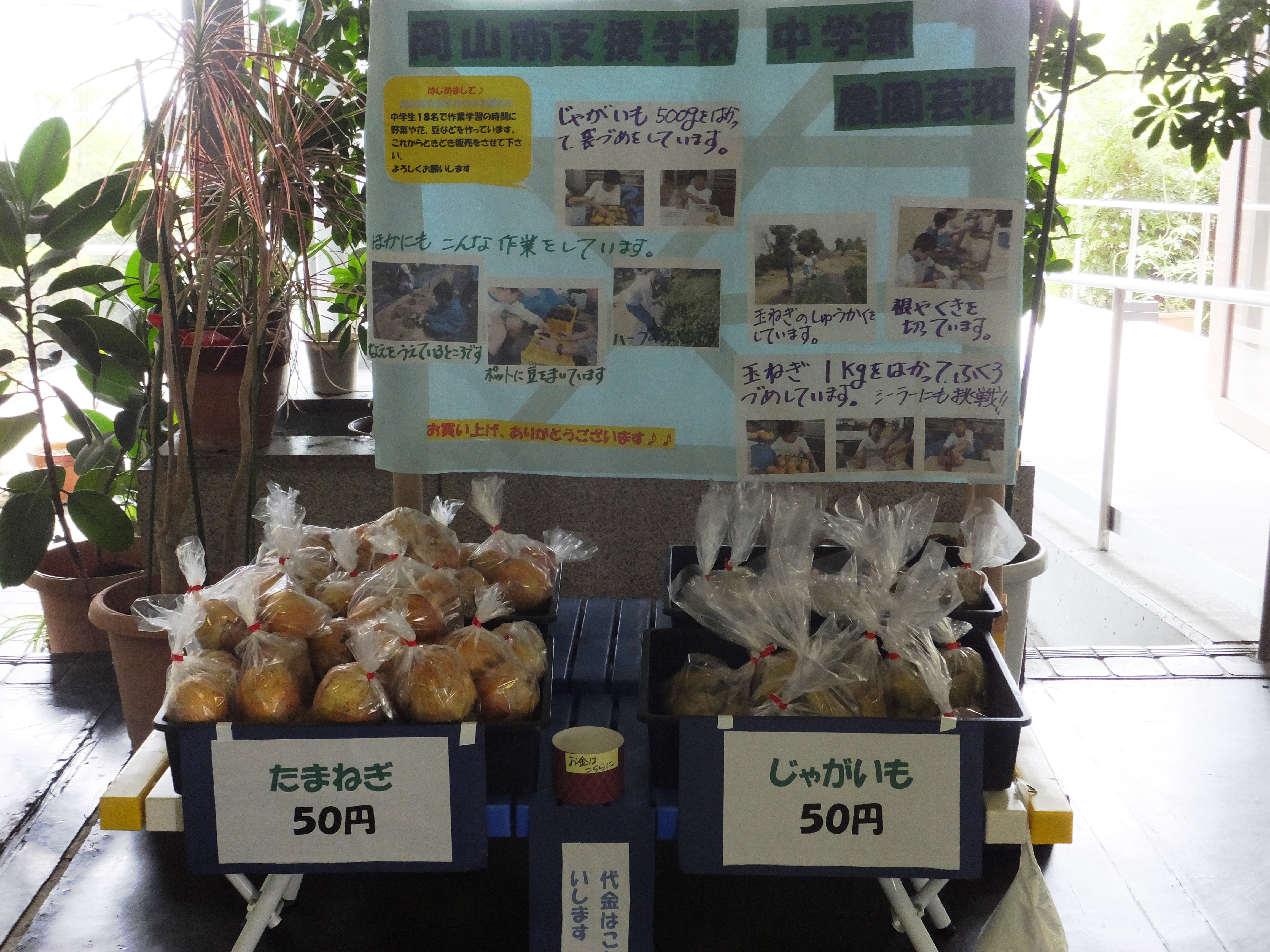 DSCF1436