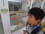 0929ダイキ校外学習Ⅰ (13)-2