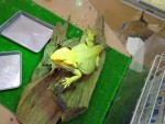 0929ダイキ校外学習Ⅰ (26)-2