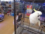 0929ダイキ校外学習Ⅰ (22)-2