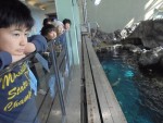 ③須磨水-1