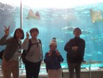②須磨水-1