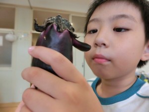 0616　おもしろナス (17)