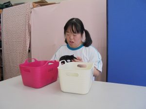 dsc00645